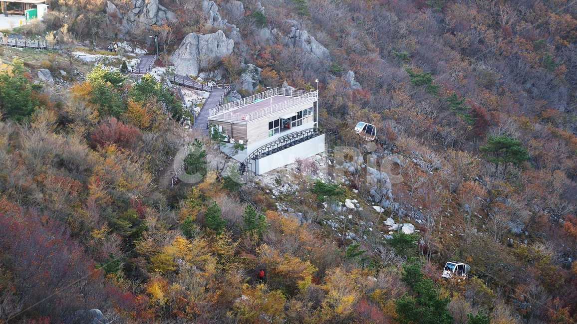 가을,가을산,가을풍경,계룡산,등산,가을,계절,fall,autumn,season,landscape,경치,nature,자연,outdoors,옥외,scenery,풍경