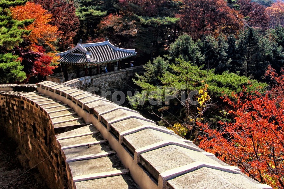 남한산성,가을,한국,전통,배경,산,문화,유적,fall,autumn,korea,tradition,background,mountain,culture,color,자연,nature,건물,건축물,architecture,seoul,서울,한국전통,한국문화,korean traditional,korean culture