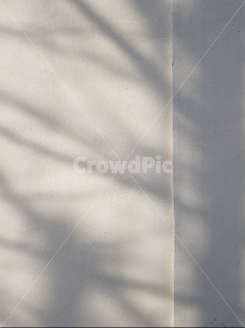 벽,그림자,명암,나뭇가지,실루엣,silhouette,shodow,contrast,wall,bw,실루엣,그림자,silhouette,shadow