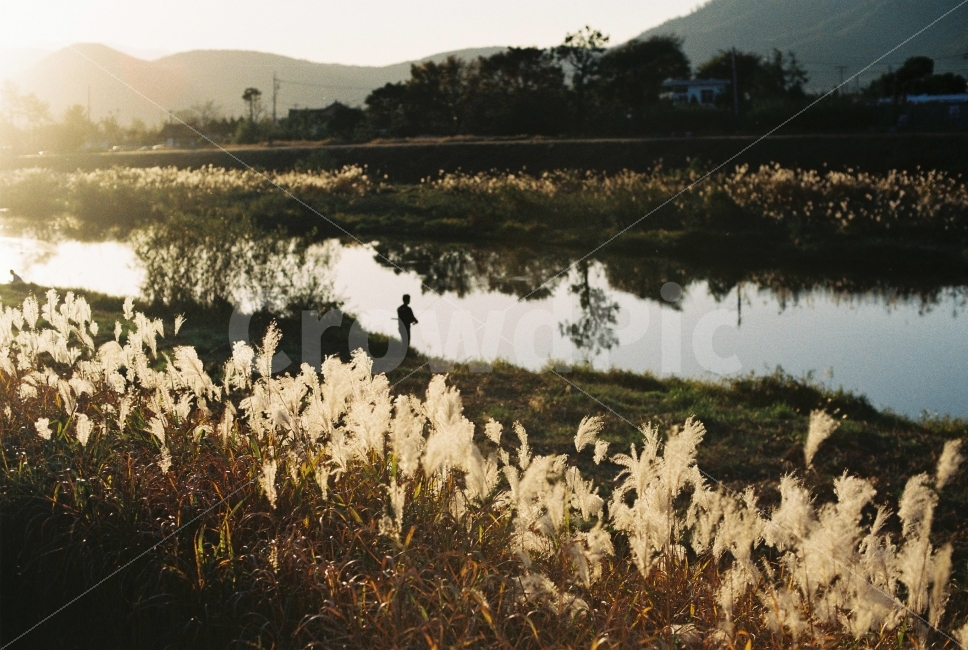 	감성,낚시,가을,갈대,여유로운,필름,필름카메라,Nikon,FM2,경주,여행,자연,풍경,nature,landscape,가을,계절,fall,autumn,season,휴식,힐링,rest,relaxation,healing,사람,인물,인간,human,person,감성,sensible,feeling,스포츠,레저,운동,sports,leisure,exercise,grass,잔디,plant,식물,lawn,reed