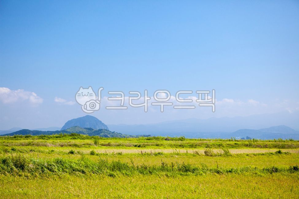 한국, 제주, 제주도, 가파도, 파란하늘, 사진,이미지,일러스트,캘리그라피 - Njkm8615작가