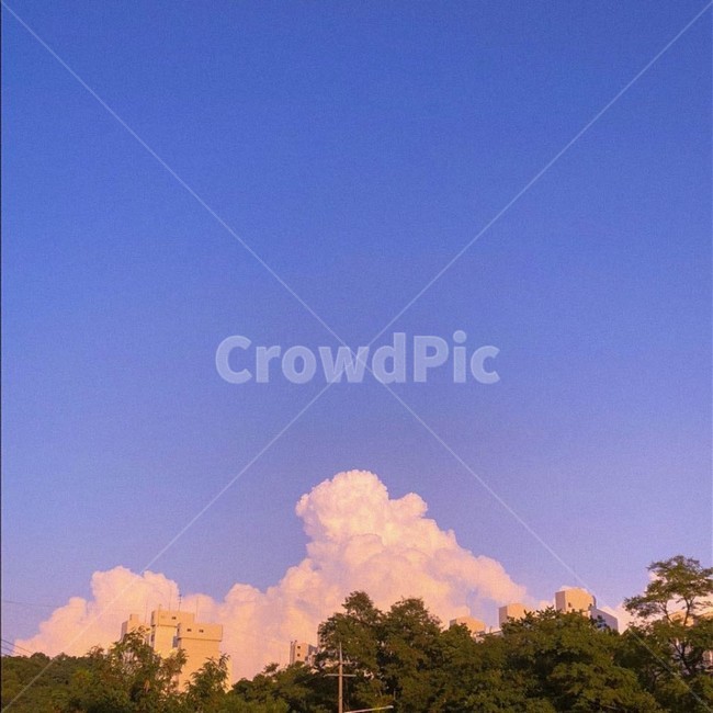 하늘,구름,자연,풍경,나무,노을,분위기,자연,풍경,nature,landscape,weather,날씨,outdoors,옥외,cumulus,적운,cloud,sky