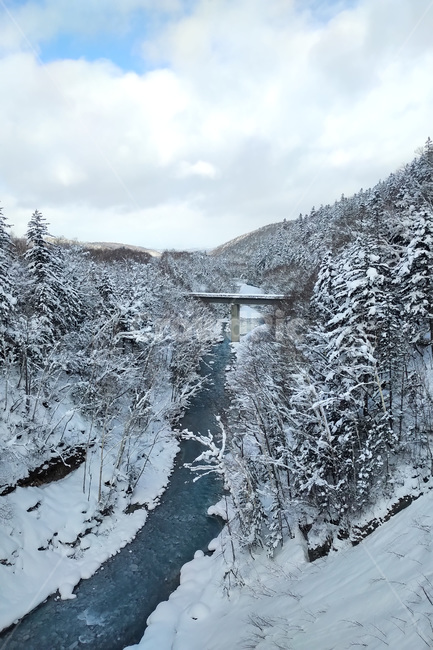 겨울,winter,자연,nature,눈,snow,얼음,ice