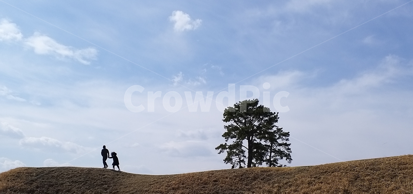 느낌,야외,풍경,인간,person,human,사람,outdoors,옥외,grassland,field,들,plant,식물,tree,나무
