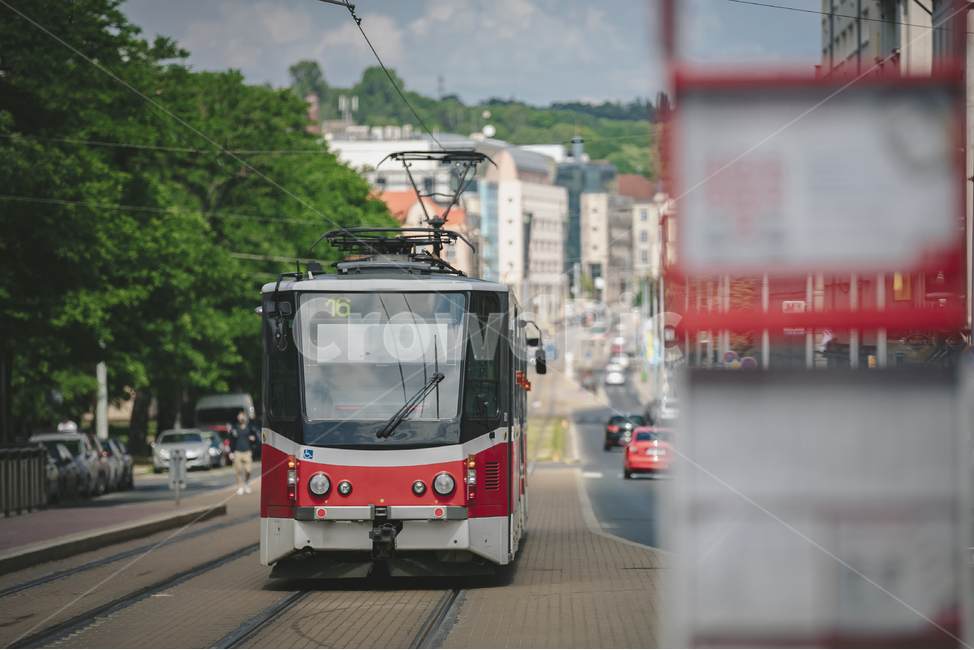 차량,transportation,교통,cablecar,케이블카,automobile,트램,프라하,체코,외국도시,해외도시,전차,기차,vehicle