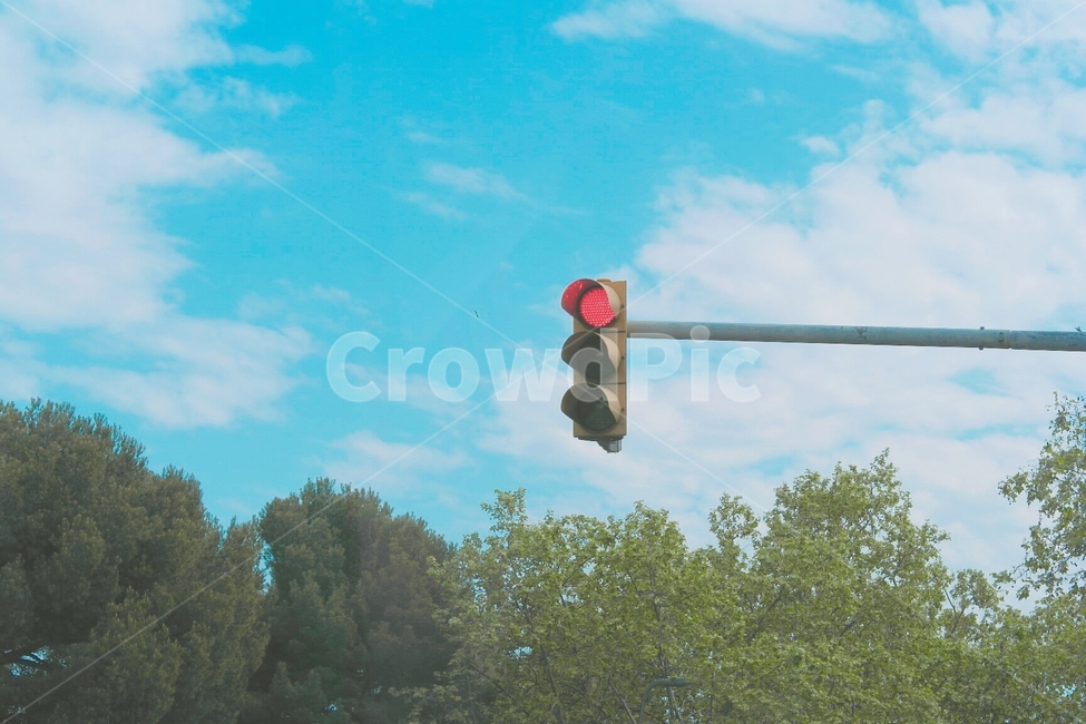 하늘,나무,신호등,빨간불,구름,감성,sensible,feeling,교통,교통수단,traffic,transportation