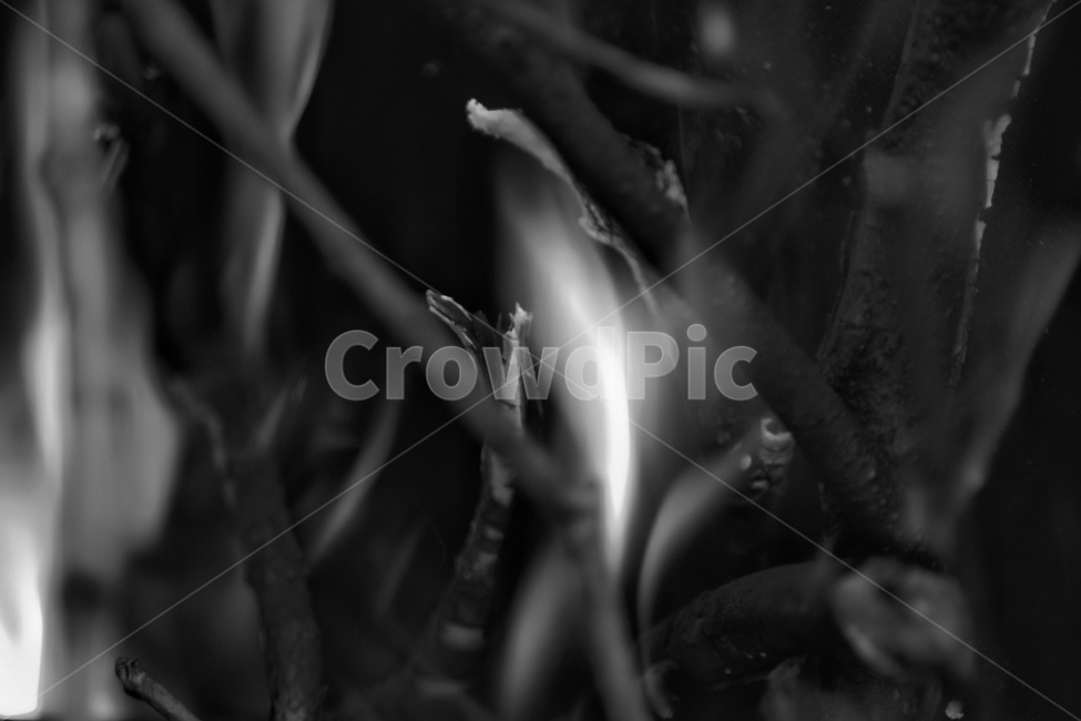 불,fire,불꽃,캠프파이어,장작,숯,흑백,모노톤,monochrome,black and white