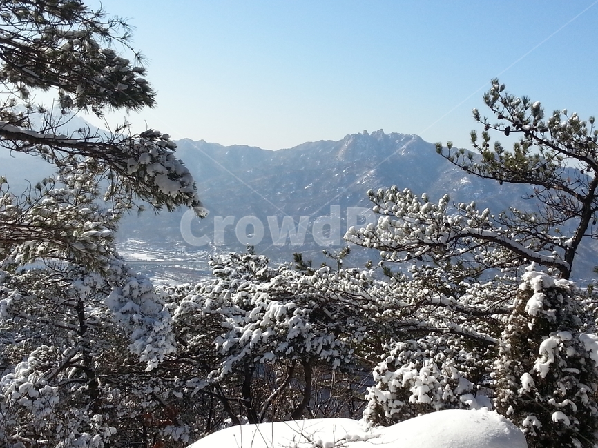 설경,눈,눈꽃,겨울산,겨울나무,겨울,계절,winter,season,자연,풍경,nature,landscape