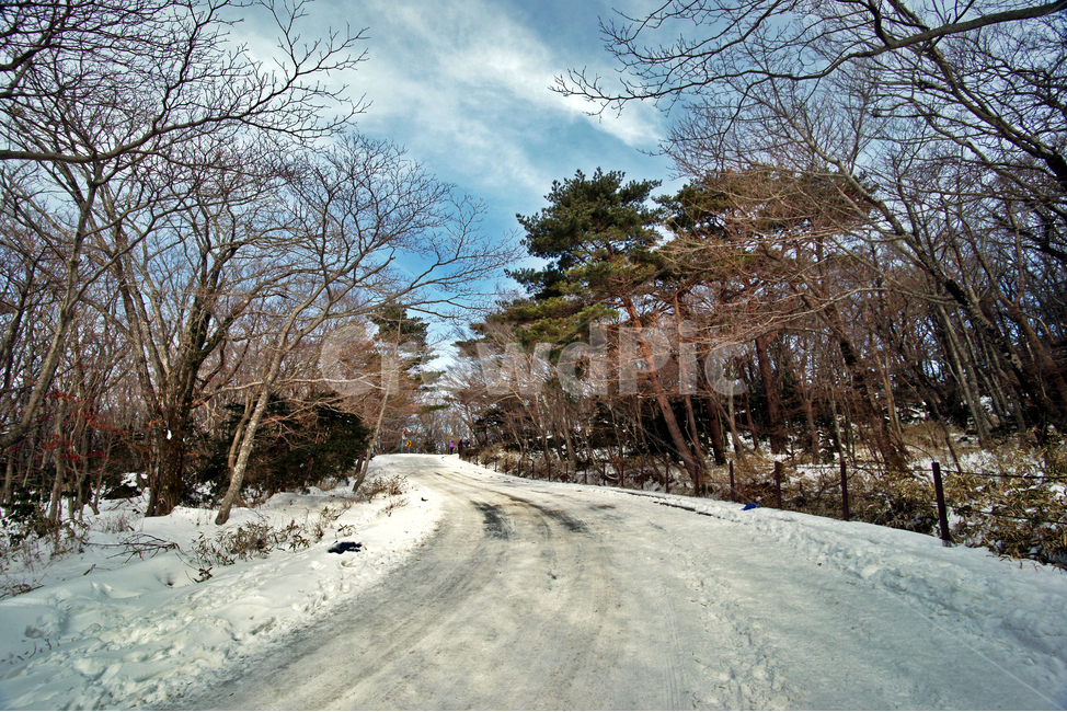 겨울산,한라산,제주도,어리목코스,설경,겨울,도로,겨울,계절,winter,season,자연,풍경,nature,landscape