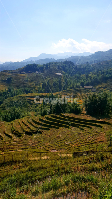 landscape,경치,outdoors,옥외,nature,자연,scenery,풍경,사파,계단식논,판시판,sapa