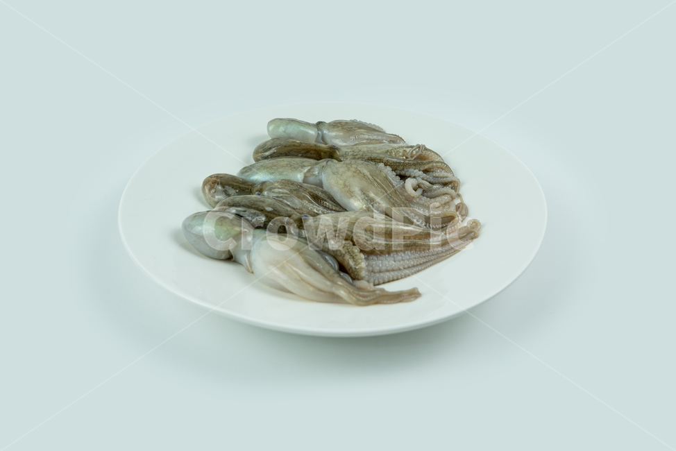 해산물,해물,낙지,주꾸미,요리재료,음식재료,어류,해양생물,문어,싱싱한,신선한,요리,음식,식품,누끼,동물