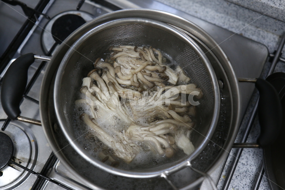 음식,food,버섯,조리,데치기,버섯데치기,느타리버섯,요리,버섯,mushroom,음식,식재료,요리,food,cook,meal,dishes,food reserves