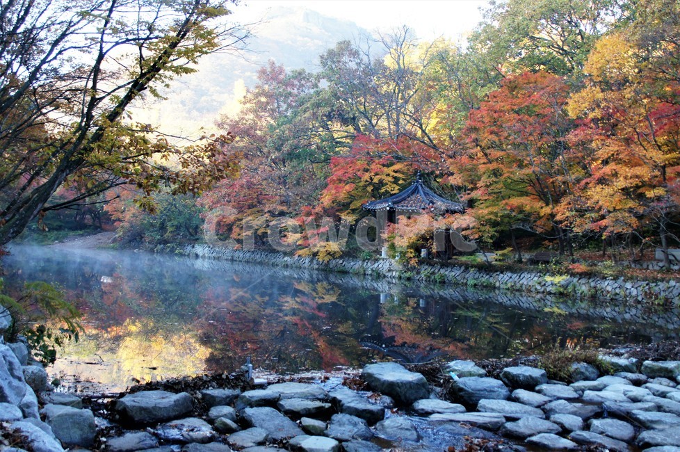 가을,단풍,자연,나무,식물,저수지,그림자,정자,산속,autumn,season,trees,nature,풍경,자연풍경,감성,emotion,안개,가을,계절,fall,autumn,season,tree,plant