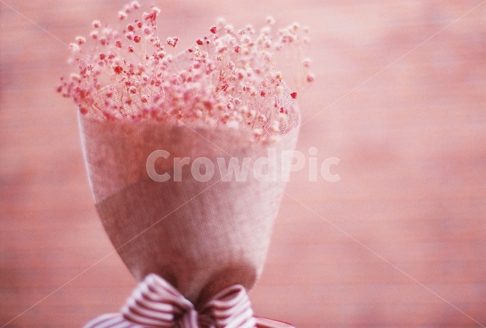 안개꽃,선물,꽃다발,감성사진,필름사진,NikonEM,식물,자연,plants,nature,꽃,flower,기념일,축하,anniversary,congratulation,celebrate,celebration,감성,sensible,feeling,색깔,색상,색채,색감,color sense,color sensitivity,feeling of color