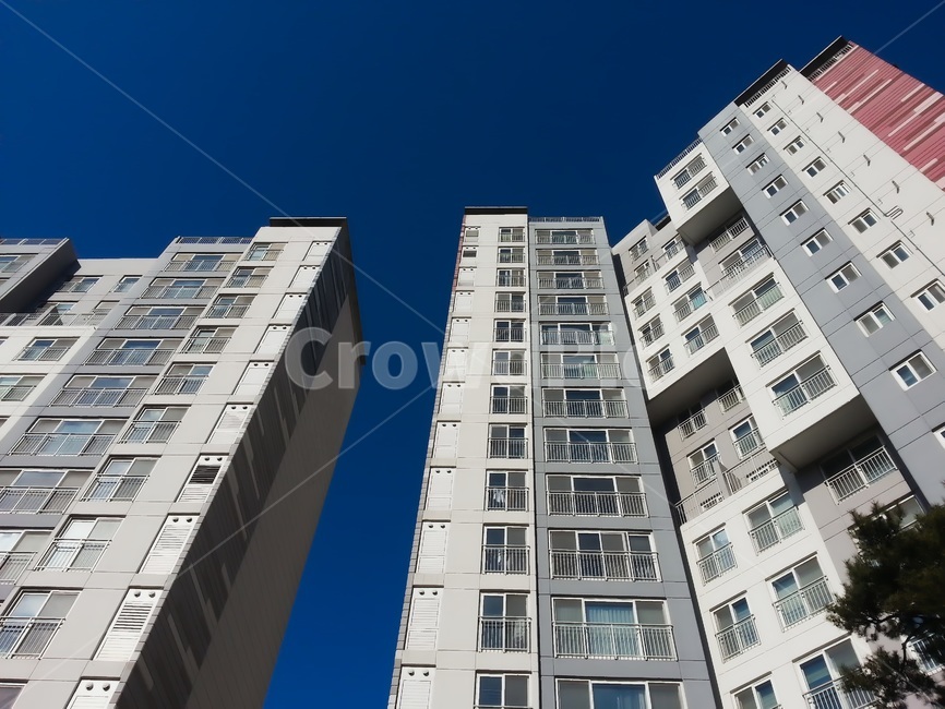 하늘,파란,추위,겨울,남향,아파트,집,건물,건축물,building,구름,cityscape,고층건물,urban,도시,town,주거시설,고층아파트,배경,건축,부동산,건설,투자,투기,재건축,재개발,도시,풍경,city,landscape,한국도시풍경,한국도시경관,korea cityscape,building,시티,town,high rise,고층 건물,urban,어반,apartment building