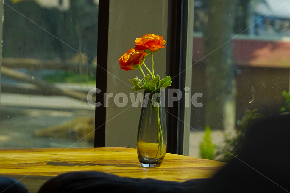 plant,식물,pottery,병장식,도기류,꽃,실내용화초,화분,화초,house plant