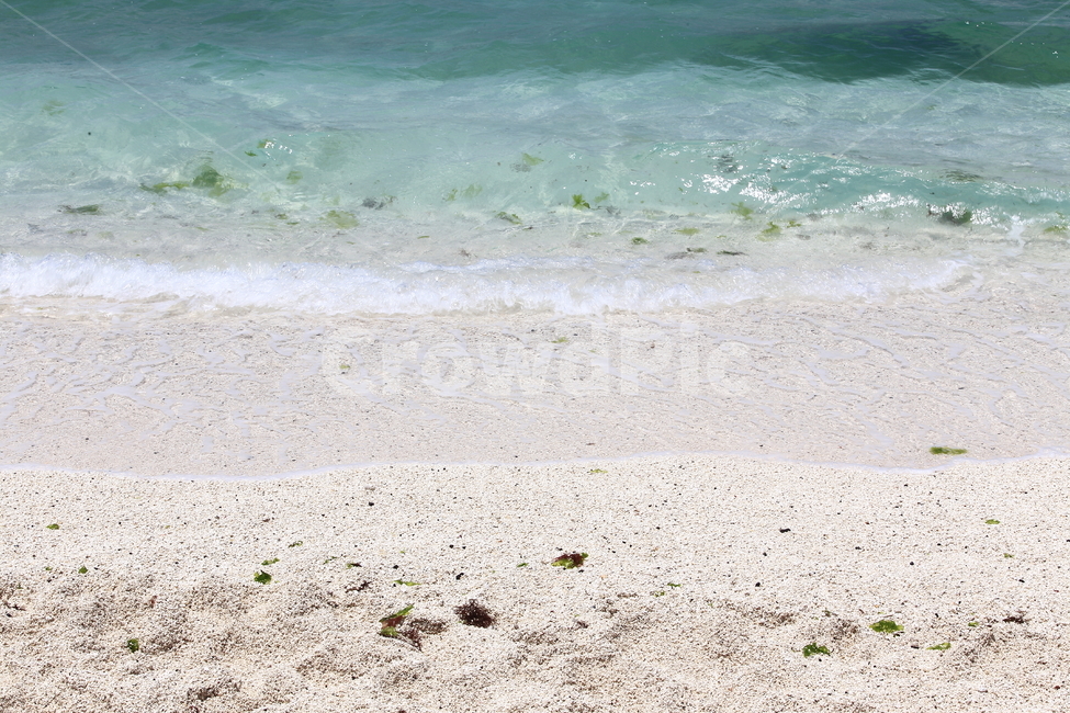 해변,여름,백사장,파도,해수욕장,해변,바다,beach,sea