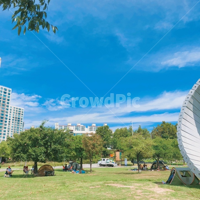 잔디,하늘,구름,맑은하늘,색감,푸른,나무,파란,파란색,맑은날씨