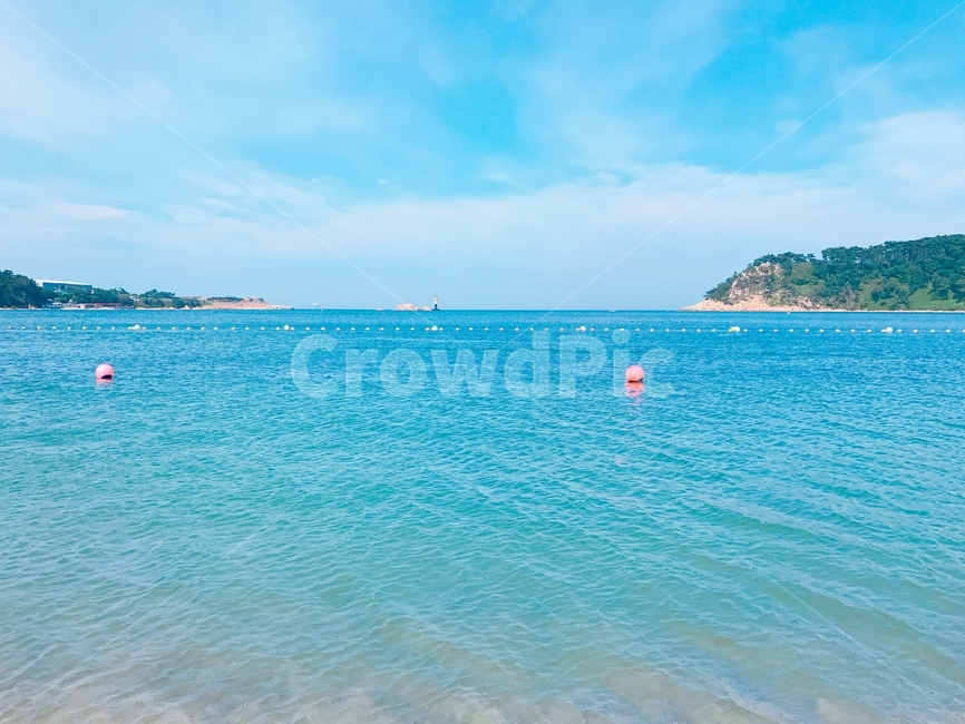 바다,갈매기,파란색,sea,blue,gull,새