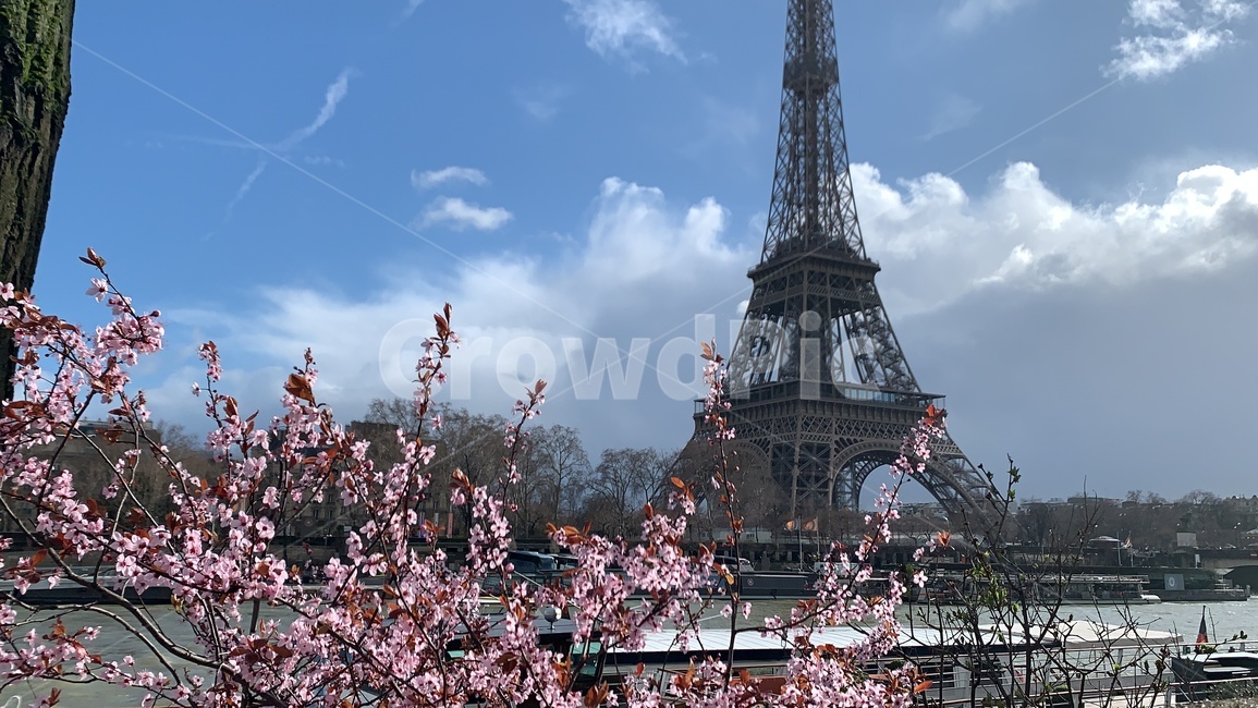 프랑스,파리,france,paris,꽃,식물,하늘,구름,배경,풍경,건축,건물,조화,이쁘다
