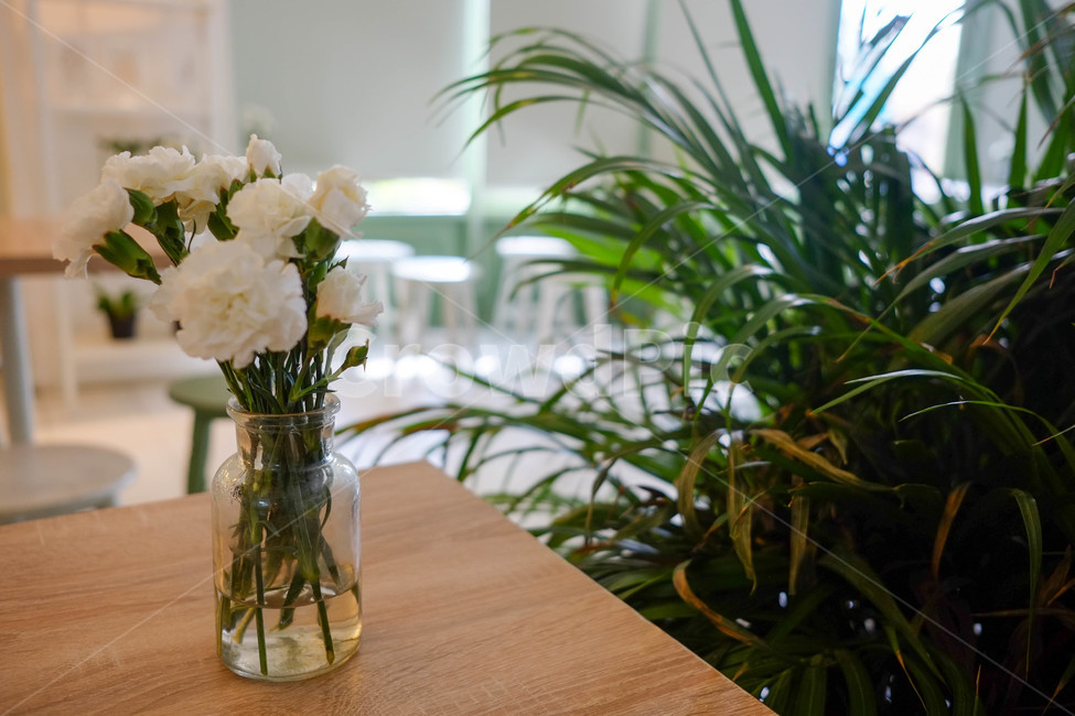 water bottle,green,flowerpot,tabitha,grass,design,vase,flower,interior