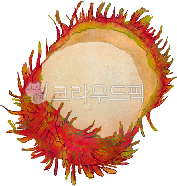 rambutan,람부탄,열대과일,과일,아시아과일