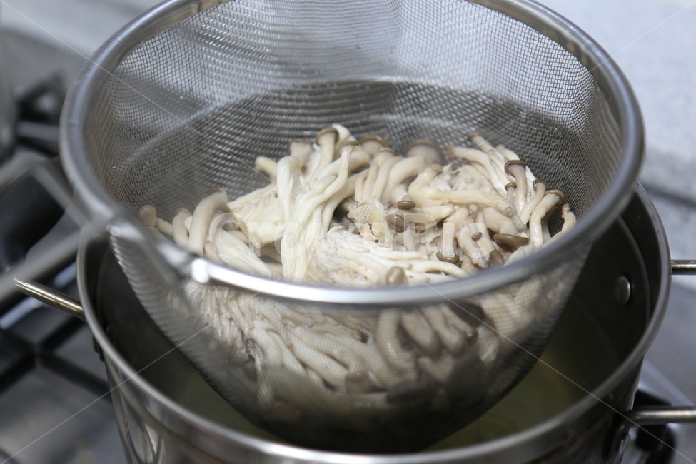 음식,food,버섯,조리,데치기,버섯데치기,느타리버섯,요리,버섯,mushroom,음식,식재료,요리,food,cook,meal,dishes,food reserves