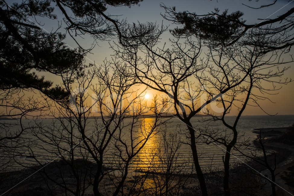 일몰,저녁,노을,바다,대부도,자연,풍경,nature,landscape,light,빛,flare,플레어,outdoors,옥외,dusk,황혼,red sky,붉은 하늘,sky,하늘,sunset,dawn,새벽,sunlight,햇빛