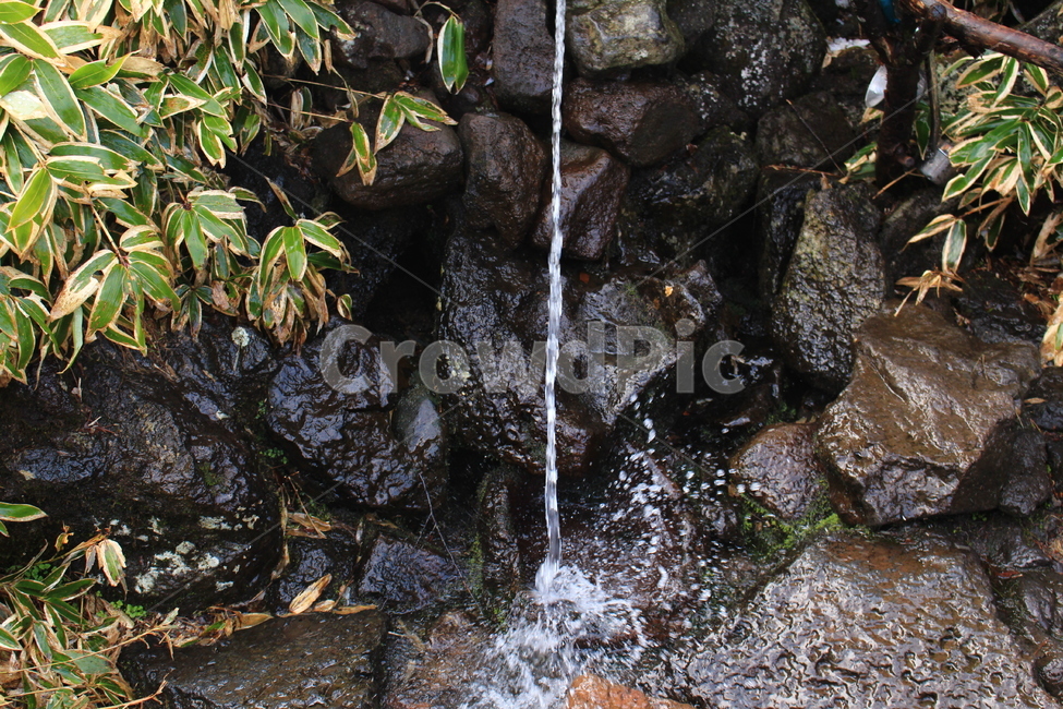 물,water,nature,자연,바위,산