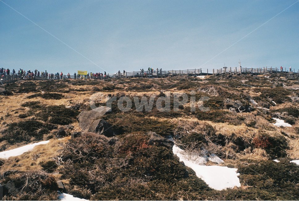 등산,한라산,제주한라산,정상,백록담,한라산등반,겨울산행,한라산등산,필름사진,제주도,jeju,jeju island,사람들,대중,군중,other people,crowd,nature,자연,outdoors,옥외,land,땅,landscape,경치,ground,바닥