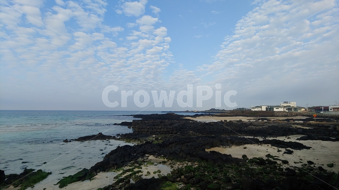 제주도,풍경,한국,해수욕장,파란하늘,view,scenery,sky,search,nature,자연,outdoors,해안선,ocean,바다
