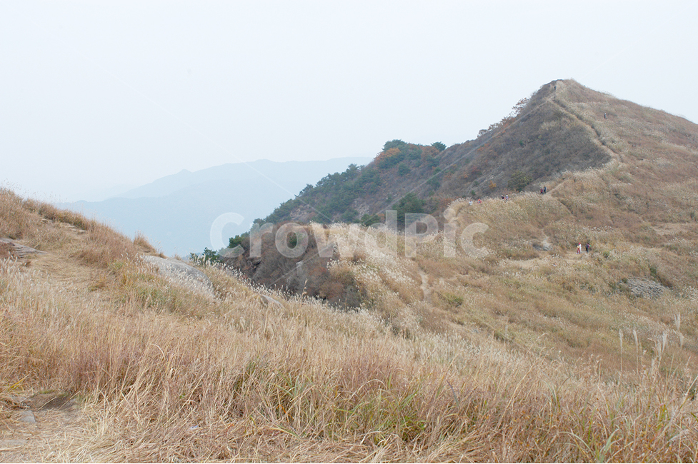 자연,산,억새,화왕산,구름,가을,계절,fall,autumn,season,자연,풍경,nature,landscape,한국자연풍경,한국자연경관,korea nature landscape,outdoors,옥외,hill,언덕,slope,경사