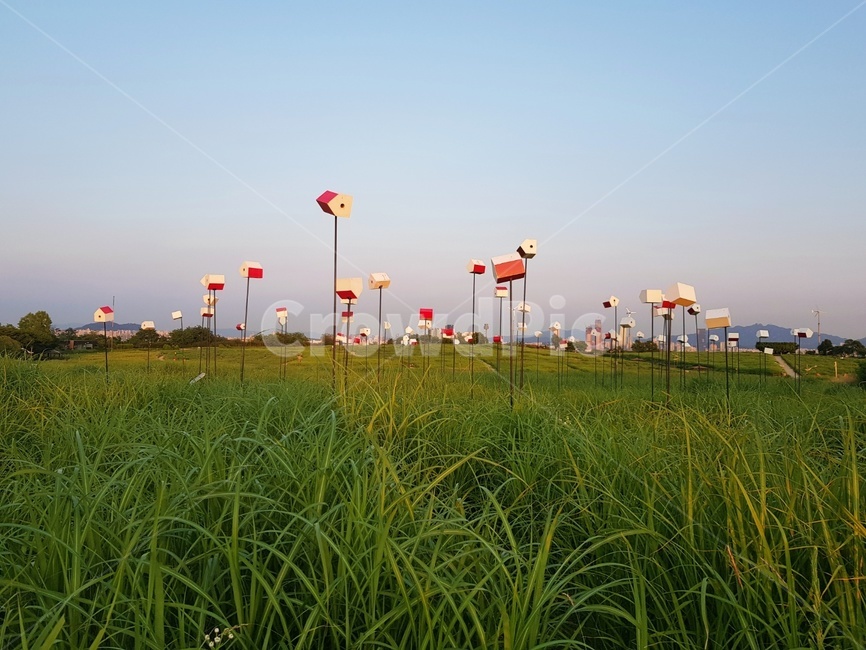 하늘공원,공원,잔디,field,park,grass,들