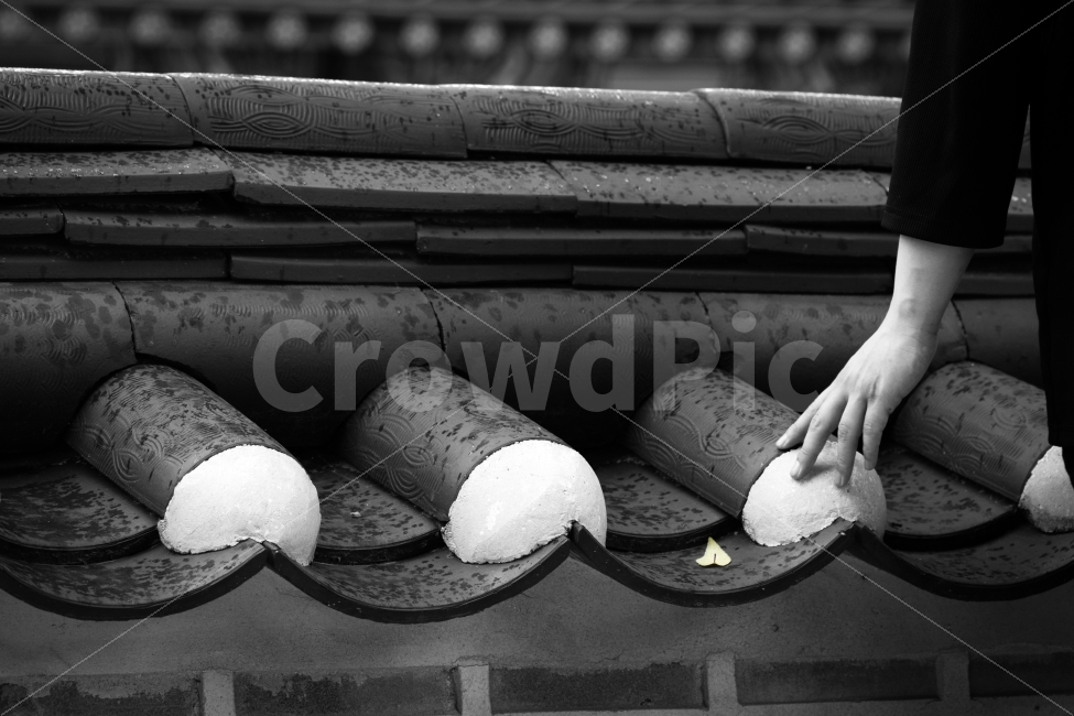 덕수궁,비,낙엽,쓸쓸함,감성,한국전통,한국문화,korean traditional,korean culture,사람,인물,인간,human,person,흑백,모노톤,monochrome,black and white