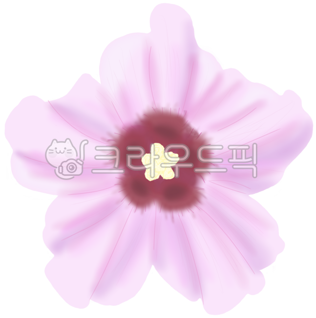 무궁화,우리나라,국가상징,한국,대한민국,국화,나라,무궁화이미지,무궁화그림,무궁화일러스트