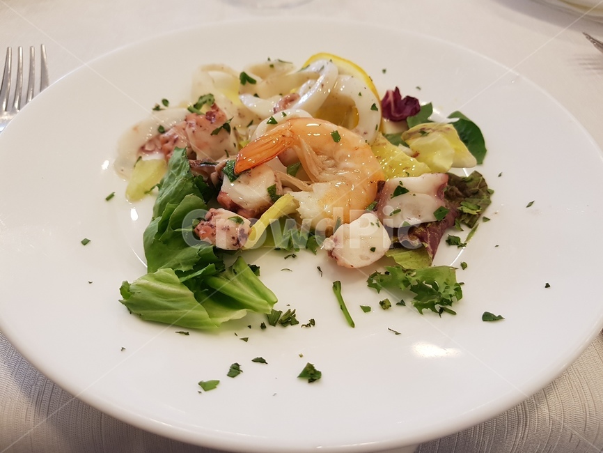 샐러드,애피타이저,새우,브로콜리,salad