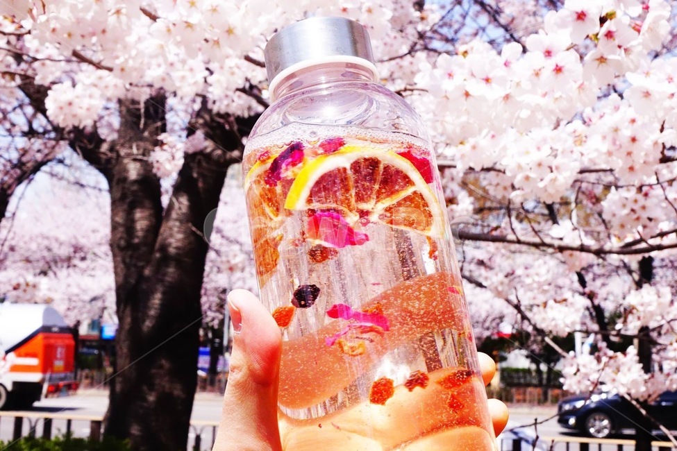 봄,벗꽃,벚꽃,물,생수,다이어트,디톡스,자몽,과일,레몬,꽃잎,blossom,핑크