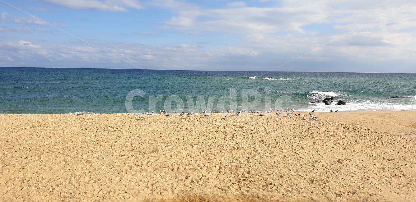 해변,바닷가,경주,경포대,파도,하늘,해수욕장,자연,풍경,nature,landscape,해변,바다,beach,sea,outdoors,옥외,ocean,대양,water,물,shoreline,해안선