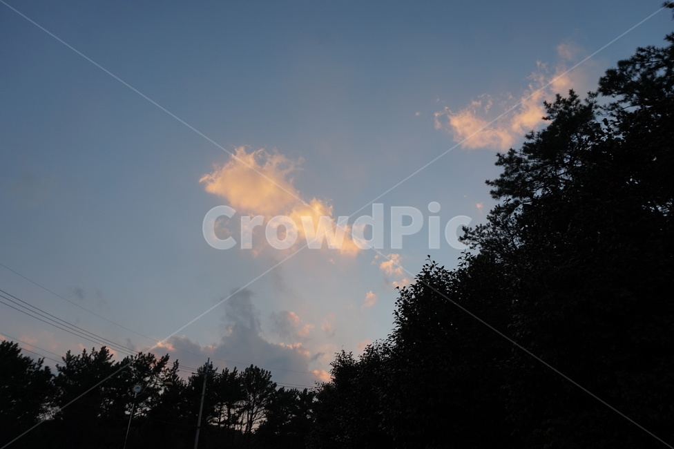 하늘,구름,나무,풍경,노을,자연,풍경,nature,landscape,weather,날씨,outdoors,옥외,silhouette,실루엣