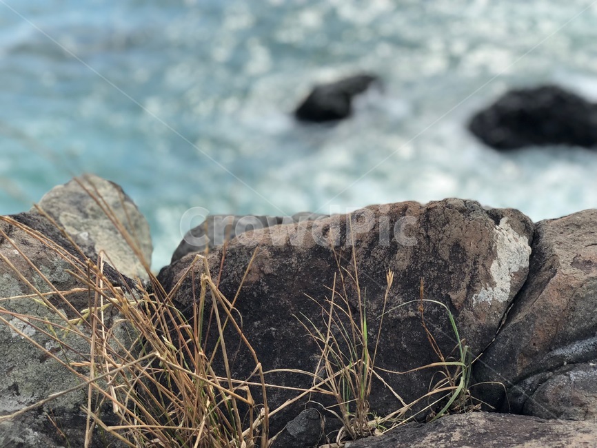 제주도,바다,돌,자연,여름,자연,풍경,nature,landscape,rock,록