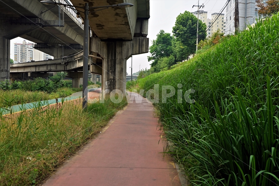 도로,하천,산책길,고가도로,기둥,풀,포장도로,walkway,trail,pavement,stroll,health,도시,풍경,city,landscape,road,freeway,고속 도로