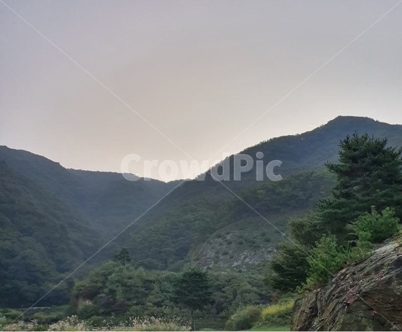 nature,자연,산,뿌연하늘,하늘,소나무,자연,풍경,nature,landscape,slope,경사,outdoors,옥외,mountain