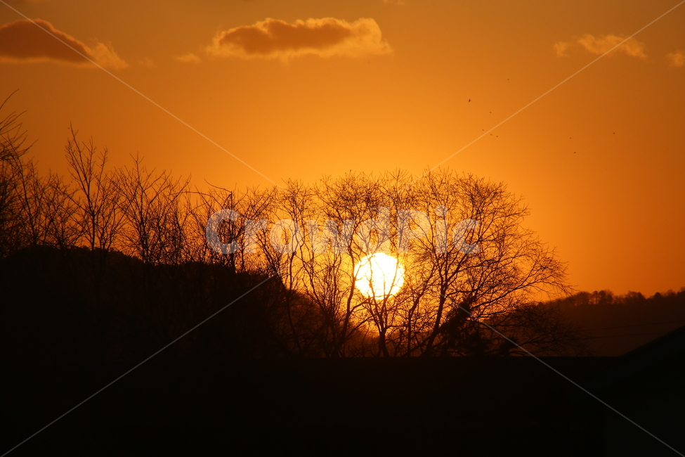 태양,일출,해,해돋이,해맞이,풍경,자연,풍경,nature,landscape,outdoors,옥외,sunlight,햇빛,sky,하늘,sunset,일몰,dusk,황혼,dawn,새벽,red sky,붉은 하늘