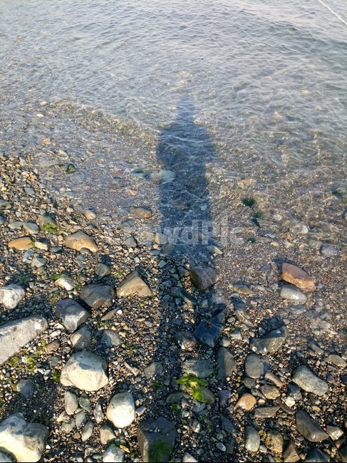 자갈,그림자,gravel,road,dirtroad