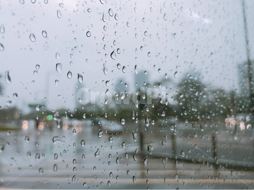 버스,비,빗방울,창문,작은물방울,rain
