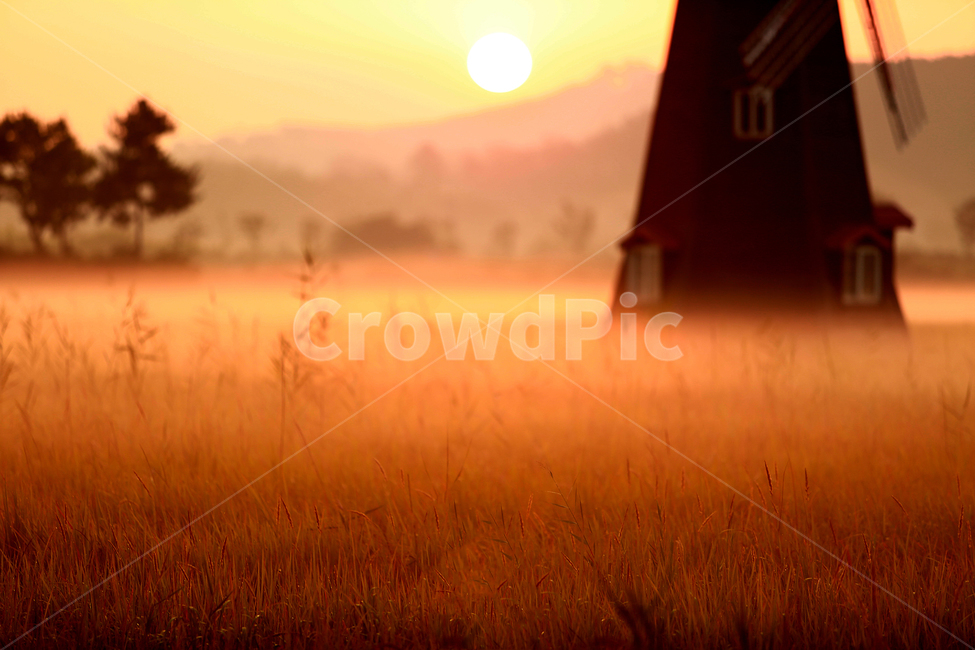 일출,풍차,소래습지,주황,안개,sunrise,fog,windmill,자연,풍경,nature,landscape,감성,sensible,feeling,outdoors,옥외