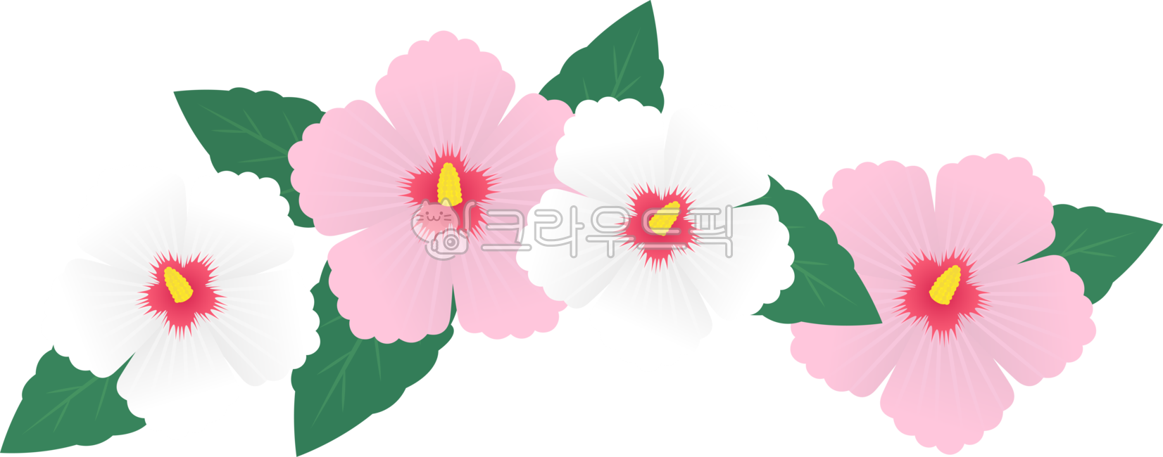 patriotic,symbol,icon,Independence Movement Day,Liberation Day,Memorial Day,independence movement,petal,Chrysanthemum,graphic,love of country,National Foundation Day,png,national holiday,flower,Rose of Sharon,Veterans Affairs,illustration,simbol