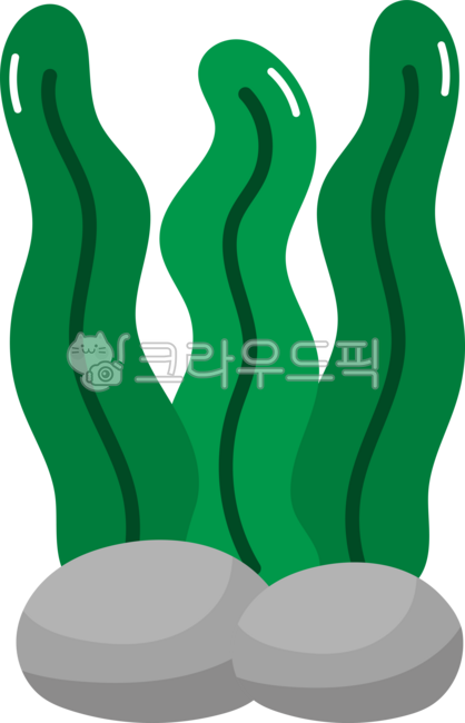 해초, 해조, 물풀, 해조류, 미역, 사진,이미지,일러스트,캘리그라피 - 츄이스튜디오작가