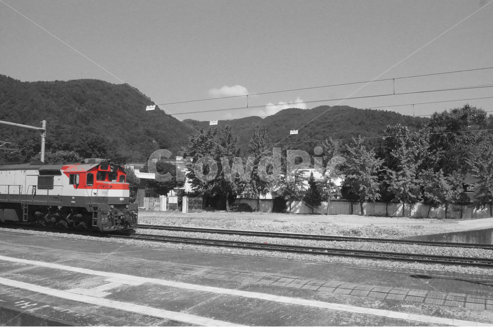 기차역,기찻길,빨간기차,오래된기차,흑백배경,train,흑백기차,객차,회차,흑백,모노톤,monochrome,black and white,교통,교통수단,traffic,transportation