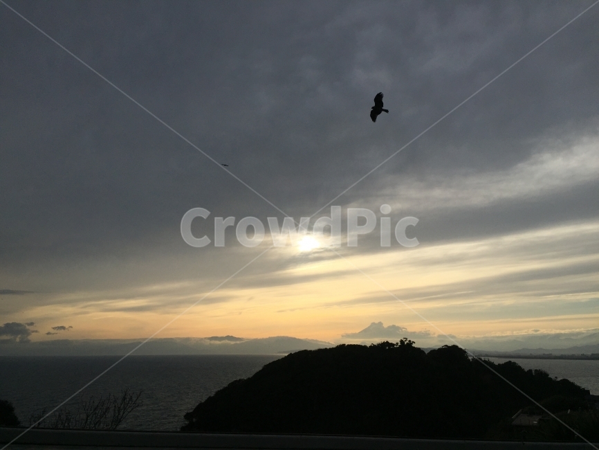 노을,바다,비상,하늘,구름,매,자연,풍경,nature,landscape,동물,animal,조류,새,birds,outdoors,옥외,land,땅